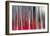 The dance of Trees-Marco Carmassi-Framed Photographic Print