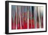 The dance of Trees-Marco Carmassi-Framed Photographic Print