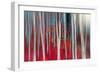 The dance of Trees-Marco Carmassi-Framed Photographic Print