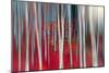 The dance of Trees-Marco Carmassi-Mounted Photographic Print