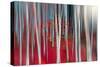 The dance of Trees-Marco Carmassi-Stretched Canvas