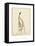 The Dance-Susann Parker-Framed Stretched Canvas