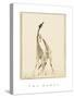 The Dance-Susann Parker-Stretched Canvas