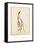 The Dance-Susann Parker-Framed Stretched Canvas