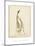 The Dance-Susann Parker-Mounted Photographic Print