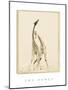 The Dance-Susann Parker-Mounted Photographic Print