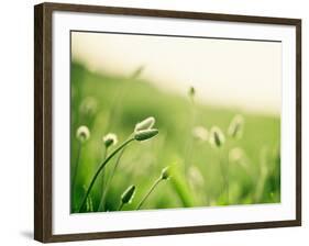 The Dance-Carolyn Cochrane-Framed Photographic Print