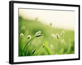 The Dance-Carolyn Cochrane-Framed Photographic Print