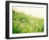 The Dance-Carolyn Cochrane-Framed Photographic Print