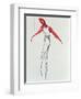 The Dancer, 1997-Stevie Taylor-Framed Giclee Print