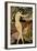 The Dancer-Gerda Wegener-Framed Giclee Print