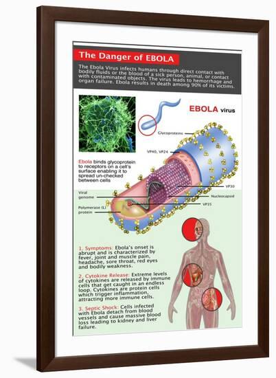 The Danger of Ebola, Illustration-Gwen Shockey-Framed Giclee Print