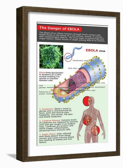 The Danger of Ebola, Illustration-Gwen Shockey-Framed Giclee Print