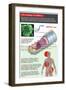 The Danger of Ebola, Illustration-Gwen Shockey-Framed Giclee Print