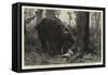 The Dangers of Elephant Shooting, Captain Paterson's Hunting Accident in the Malay Peninsula-null-Framed Stretched Canvas