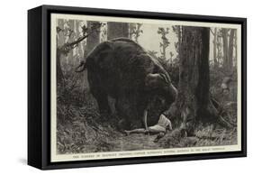 The Dangers of Elephant Shooting, Captain Paterson's Hunting Accident in the Malay Peninsula-null-Framed Stretched Canvas