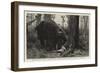 The Dangers of Elephant Shooting, Captain Paterson's Hunting Accident in the Malay Peninsula-null-Framed Giclee Print