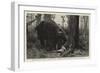 The Dangers of Elephant Shooting, Captain Paterson's Hunting Accident in the Malay Peninsula-null-Framed Giclee Print