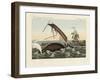 The Dangers of Whale Fishing-null-Framed Giclee Print