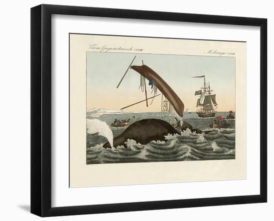 The Dangers of Whale Fishing-null-Framed Giclee Print