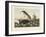 The Dangers of Whale Fishing-null-Framed Giclee Print