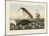 The Dangers of Whale Fishing-null-Mounted Giclee Print
