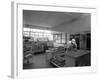 The Danish Bacon Company Factory, Kilnhurst, South Yorkshire, 1957-Michael Walters-Framed Photographic Print