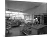 The Danish Bacon Company Factory, Kilnhurst, South Yorkshire, 1957-Michael Walters-Mounted Photographic Print