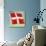 The Danish Flag-English School-Giclee Print displayed on a wall