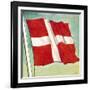 The Danish Flag-English School-Framed Giclee Print