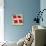 The Danish Flag-English School-Stretched Canvas displayed on a wall