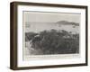 The Danish West Indies, for the Purchase of Which the Us Government Is Negotiating-null-Framed Giclee Print