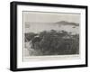 The Danish West Indies, for the Purchase of Which the Us Government Is Negotiating-null-Framed Giclee Print