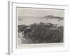 The Danish West Indies, for the Purchase of Which the Us Government Is Negotiating-null-Framed Giclee Print