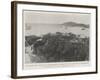 The Danish West Indies, for the Purchase of Which the Us Government Is Negotiating-null-Framed Giclee Print