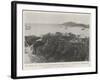 The Danish West Indies, for the Purchase of Which the Us Government Is Negotiating-null-Framed Giclee Print