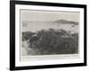 The Danish West Indies, for the Purchase of Which the Us Government Is Negotiating-null-Framed Giclee Print