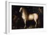 The Dapple Grey, C. 1625-1630-Roelant Savery-Framed Premium Giclee Print