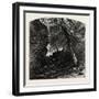 The Dargle, Ireland, 19th Century-null-Framed Giclee Print