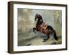 The Dark Bay Horse "Valido" Performing a Levade Movement-Johann Georg de Hamilton-Framed Giclee Print