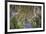 The Dark Hedges in Northern Ireland, Beech Tree Avenue, Northern Ireland, United Kingdom-Michael Runkel-Framed Photographic Print