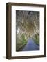 The Dark Hedges in Northern Ireland, Beech Tree Avenue, Northern Ireland, United Kingdom-Michael Runkel-Framed Photographic Print