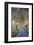 The Dark Hedges in Northern Ireland, Beech Tree Avenue, Northern Ireland, United Kingdom-Michael Runkel-Framed Photographic Print