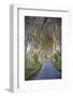 The Dark Hedges in Northern Ireland, Beech Tree Avenue, Northern Ireland, United Kingdom-Michael Runkel-Framed Photographic Print