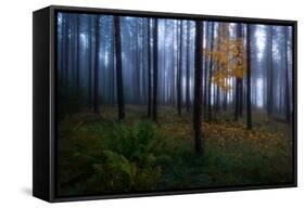 The Dark Light-Christian Lindsten-Framed Stretched Canvas