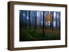 The Dark Light-Christian Lindsten-Framed Photographic Print