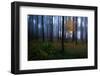 The Dark Light-Christian Lindsten-Framed Photographic Print