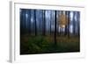 The Dark Light-Christian Lindsten-Framed Photographic Print