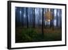 The Dark Light-Christian Lindsten-Framed Photographic Print