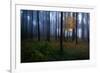 The Dark Light-Christian Lindsten-Framed Photographic Print